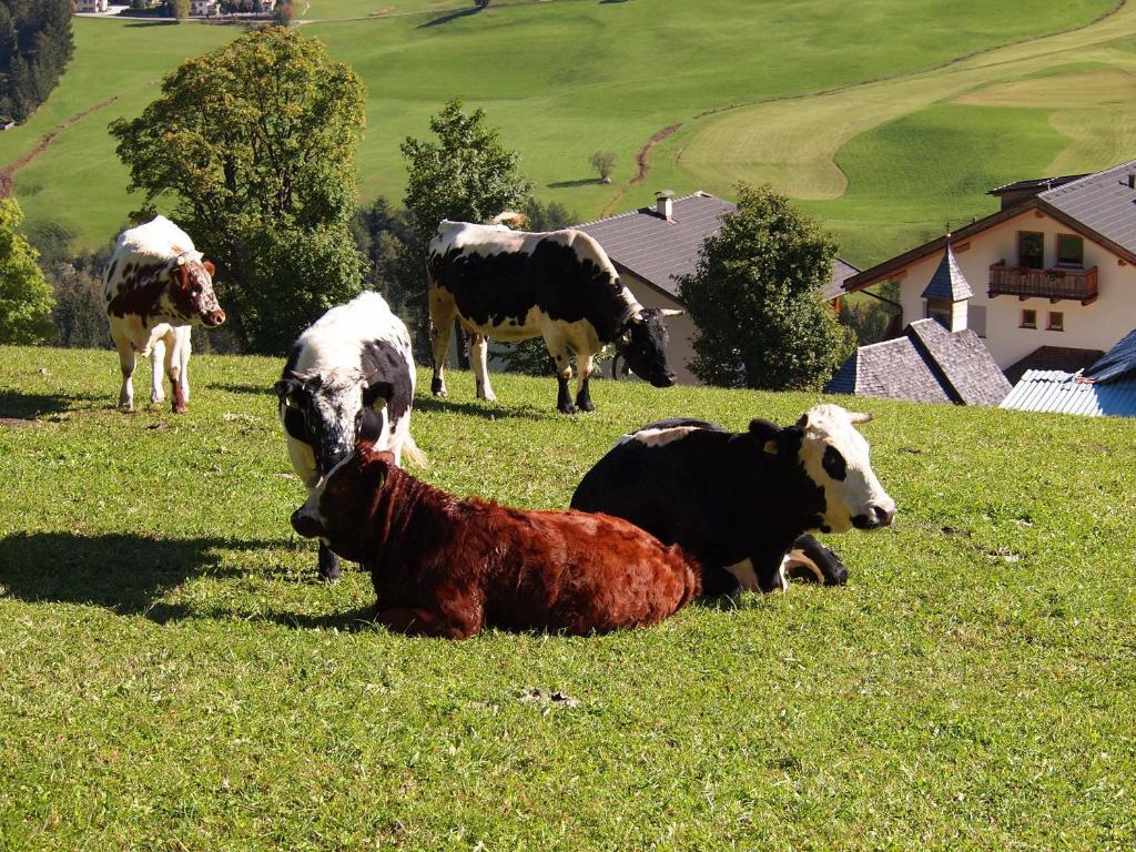Agriturismo Paracia Badia (South Tyrol) Exterior photo